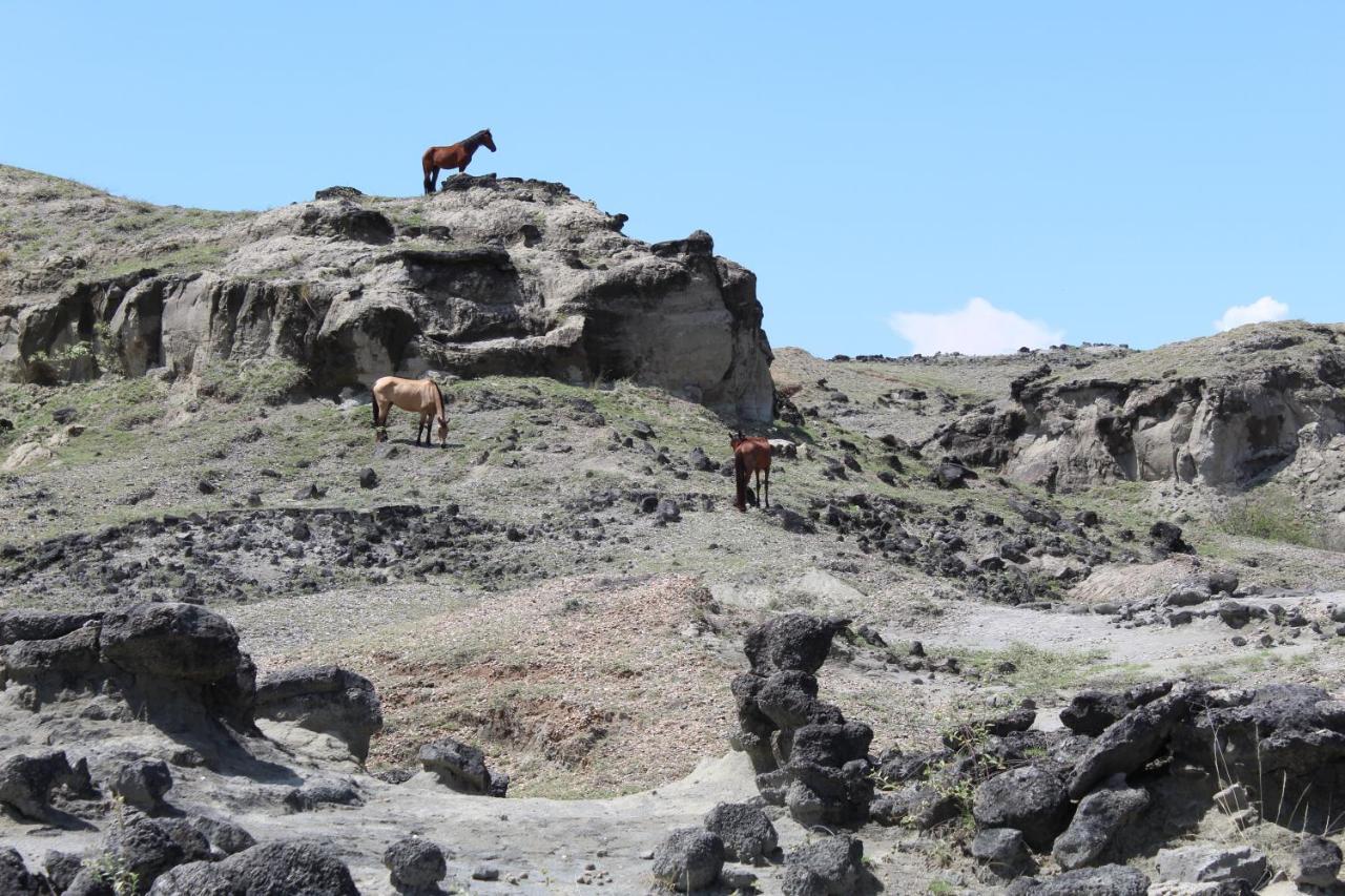 Pachingo Tatacoa Desert La Victoria  Exteriér fotografie
