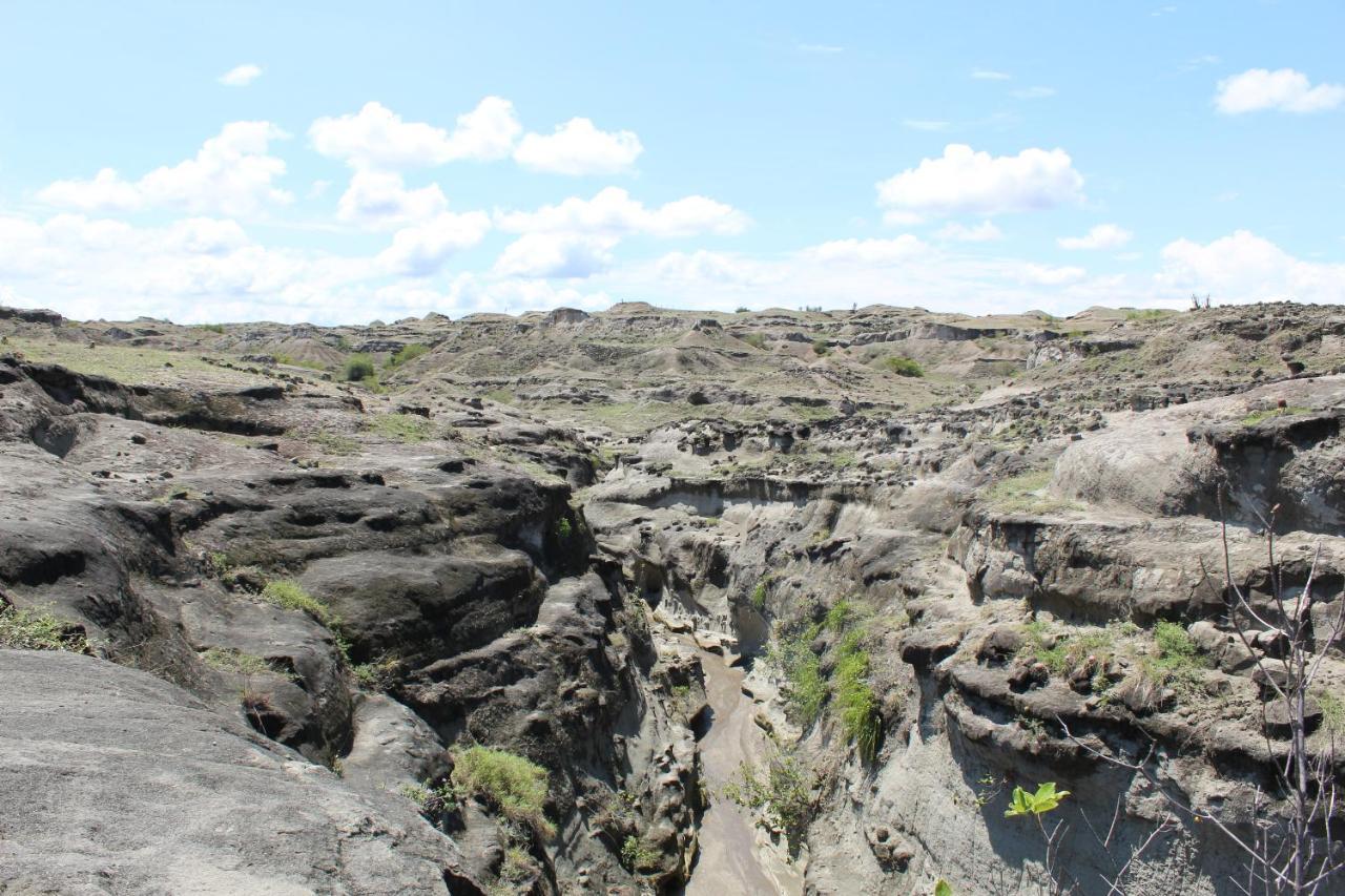 Pachingo Tatacoa Desert La Victoria  Exteriér fotografie